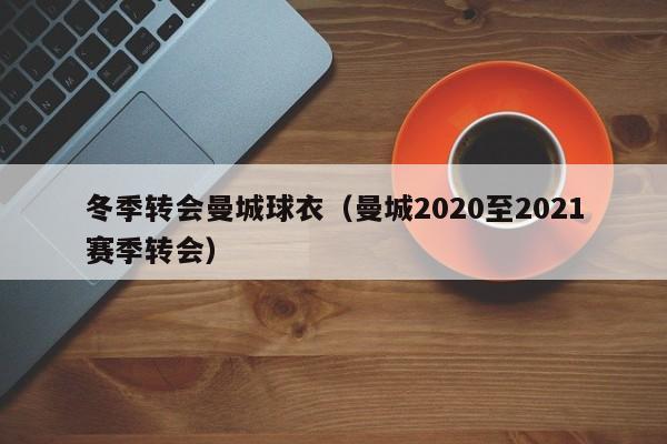 冬季转会曼城球衣（曼城2020至2021赛季转会）